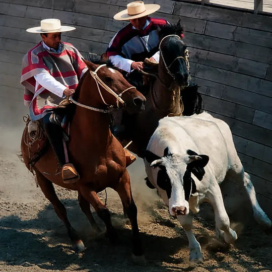 Rodeo